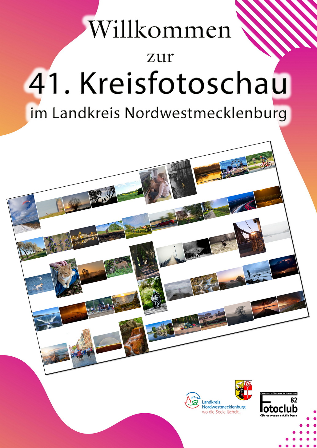 Bild zur News