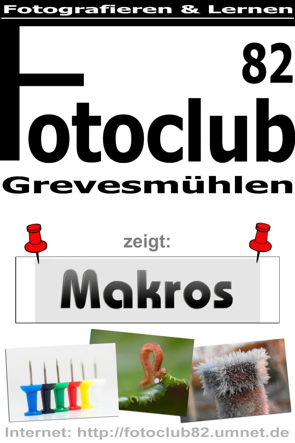 Bild zum Seitenabsatz