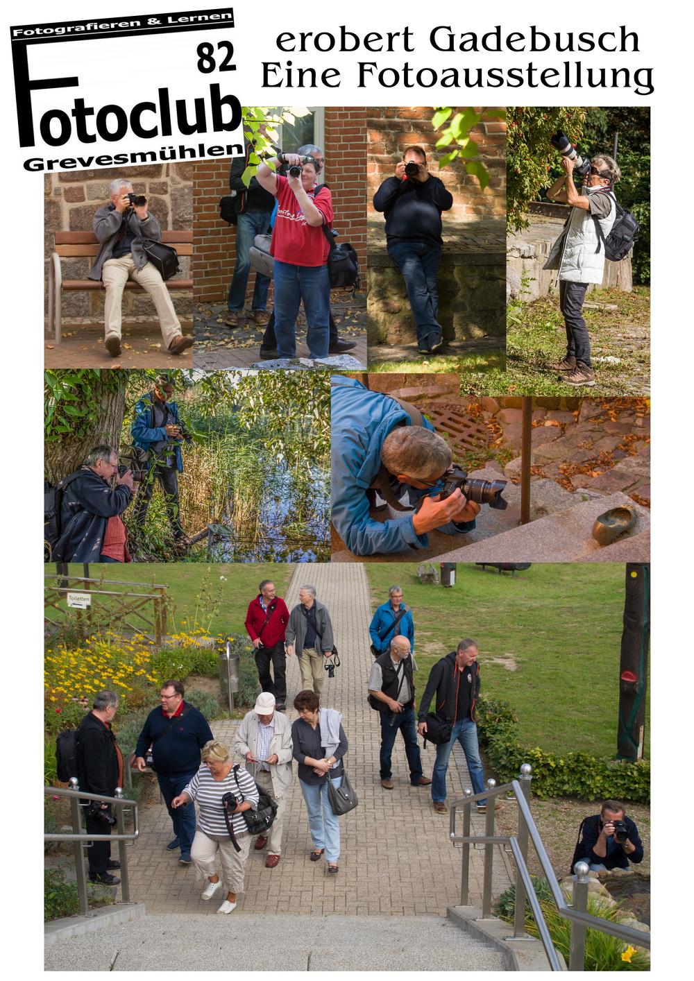 Bild zum Seitenabsatz